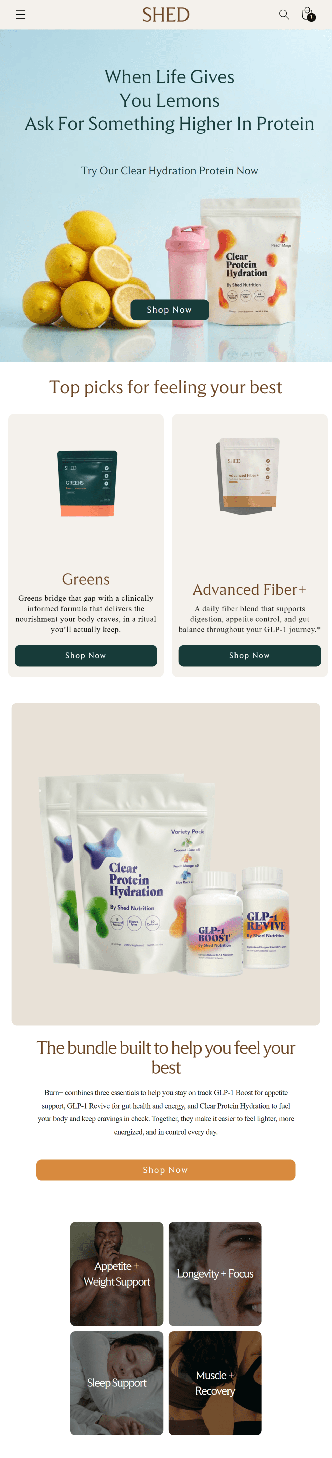 Shed gallery image 2